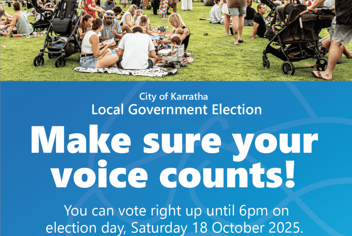 Local government election graphic