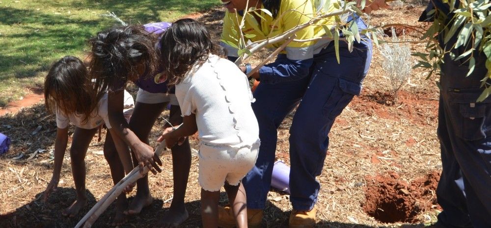 Wickham Lions Park Planting Project