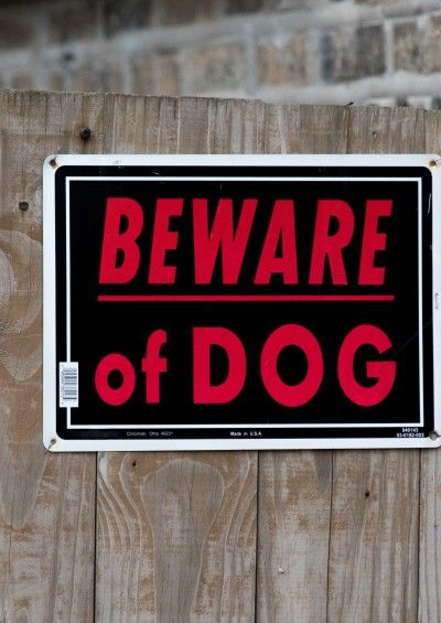 Dangerous and restricted dogs | City of Karratha