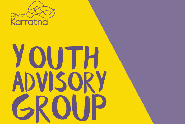 Youth Advisory Group 